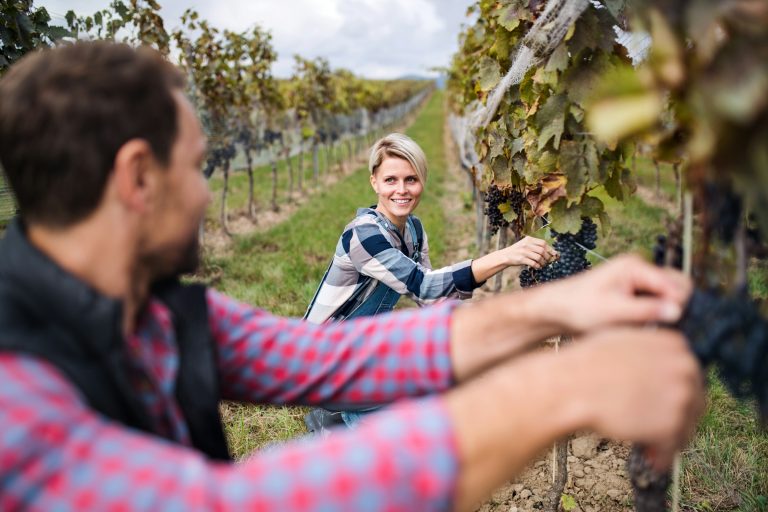 Wine Spectator's Top 100 of 2025