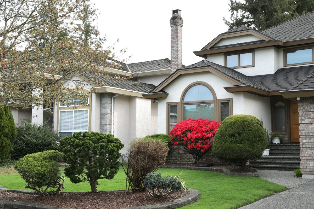 Why New-Build Homes Can Still Develop Pest Infestations