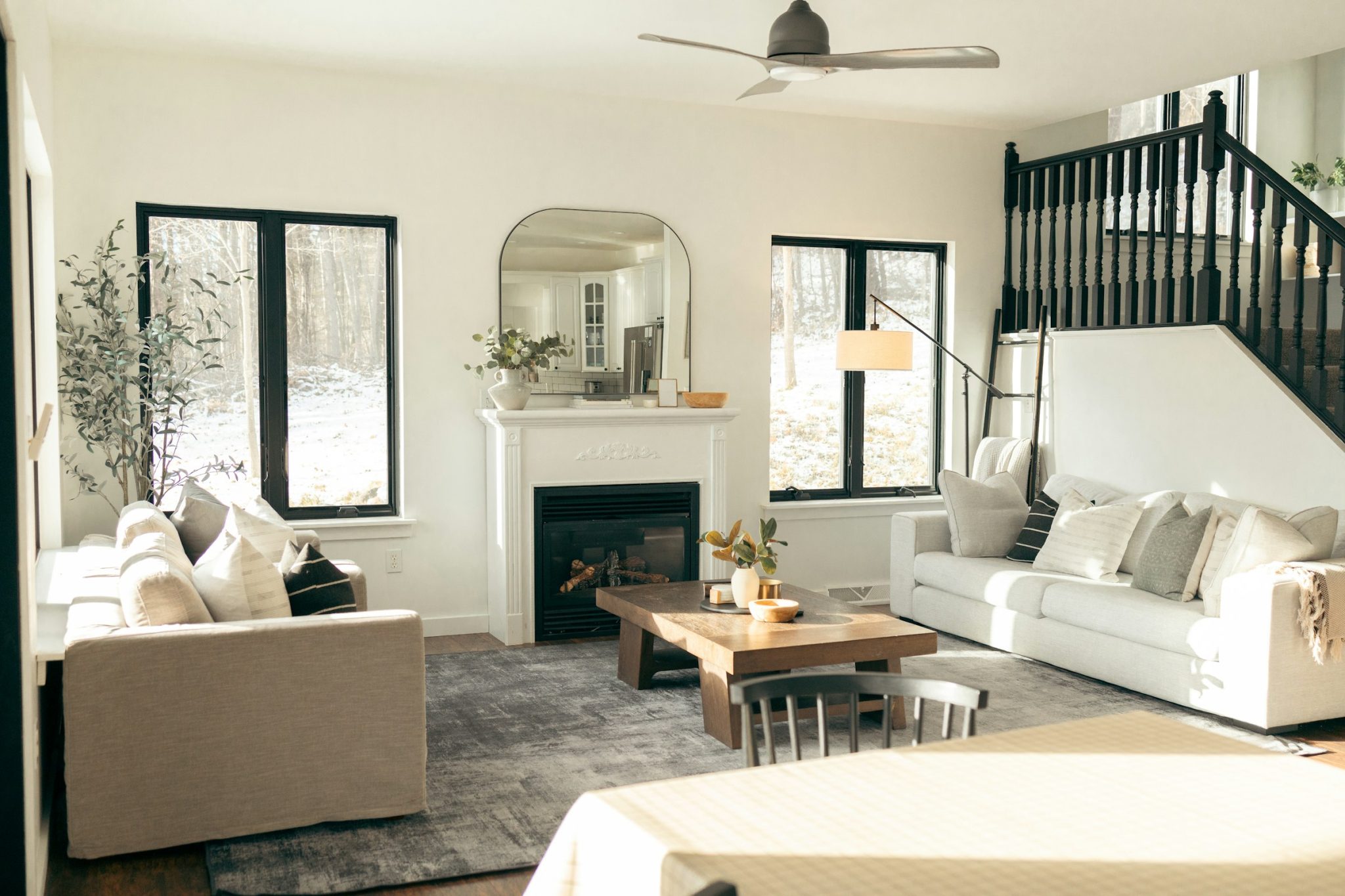 Why New-Build Homes Can Still Develop Pest Infestations