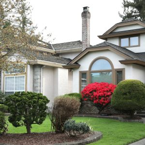 Why New-Build Homes Can Still Develop Pest Infestations 15 Why New-Build Homes Can Still Develop Pest Infestations