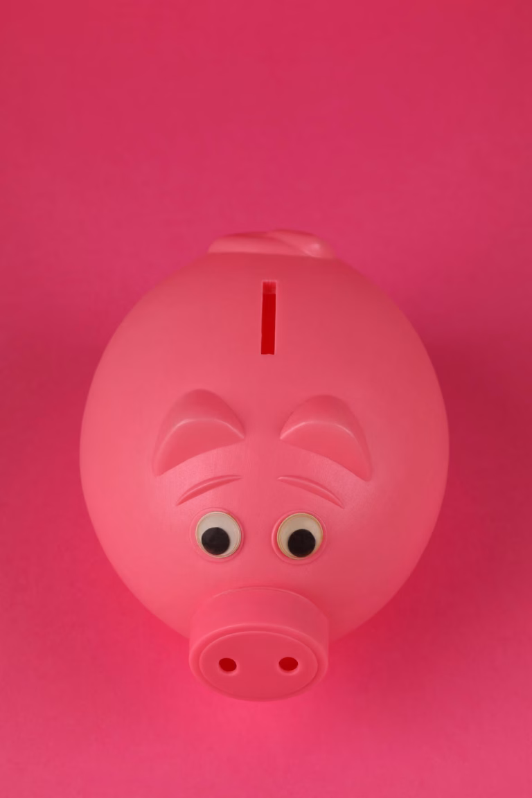 piggy bank family budget